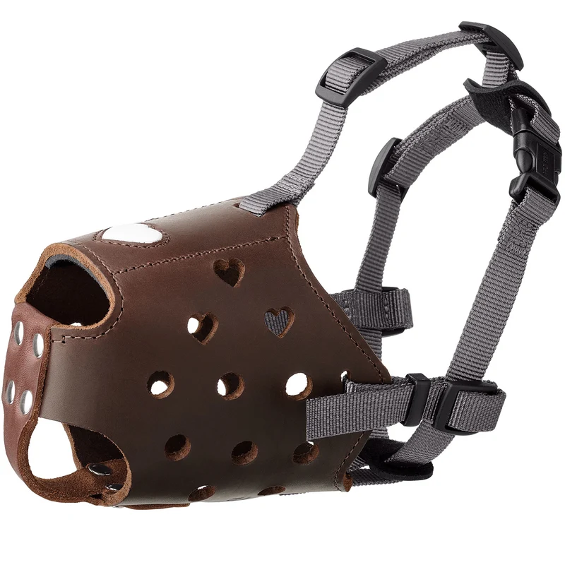 Maulkorb Love