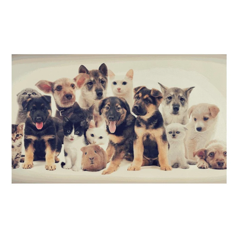 Tapis de Gamelle Absorbant Personnalisable | Set de Table Anti-Éclaboussures pour Animaux