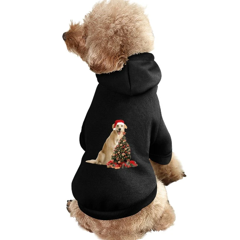 Le Style des Légendes : Sweat à Capuche pour Chien & Chat