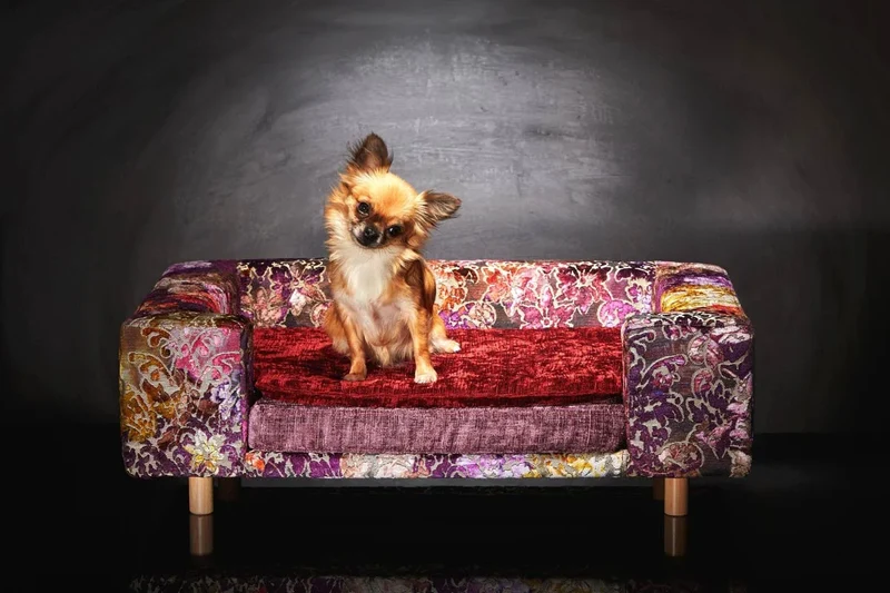 Canapé pour chien « Le Couture » Palace (Rose ou Bleu)