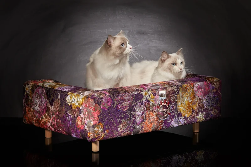 Canapé pour chat « Le Couture » Palace (Rose ou Bleu)