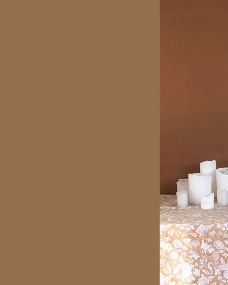 Echantillon - Speculoos