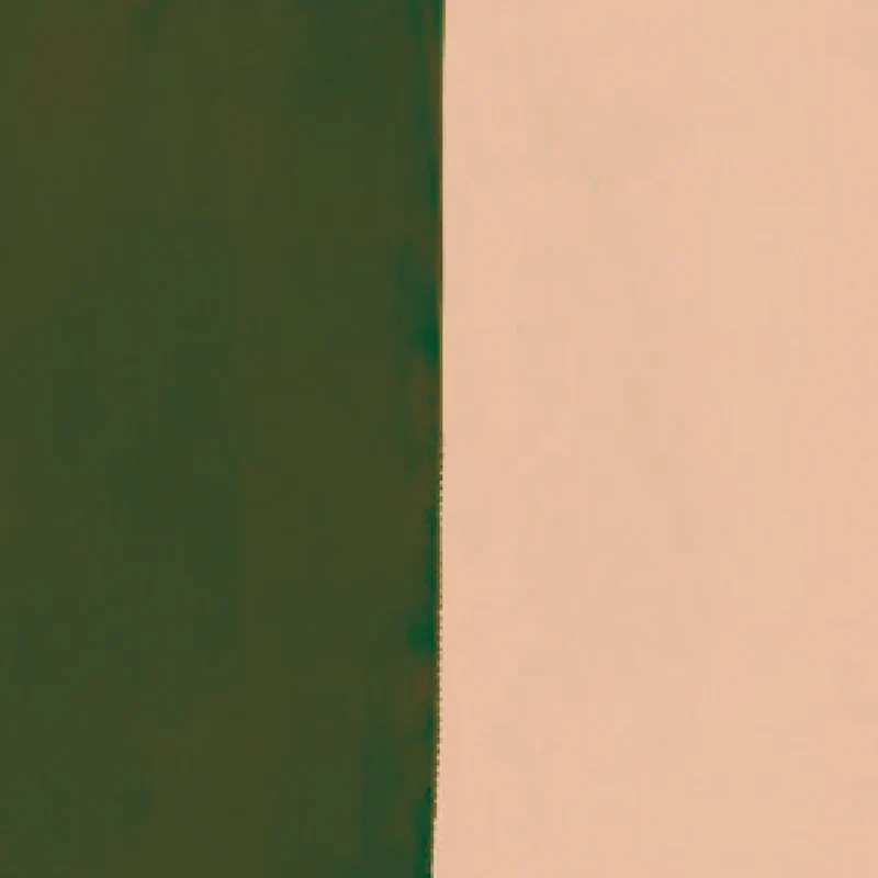 Échantillon - frise "Arlequin - Rose et vert"