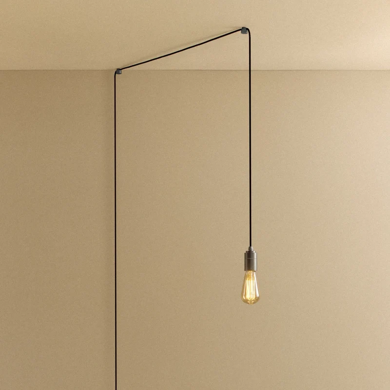 Squirrel Cage Plug-In Pendant in Graphite