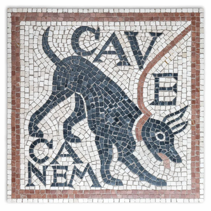 Mosaïque Cave canem - en marble