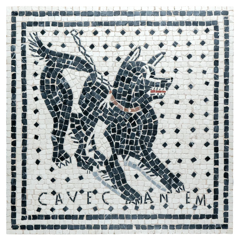 Mosaïque Cave Canem - en marble