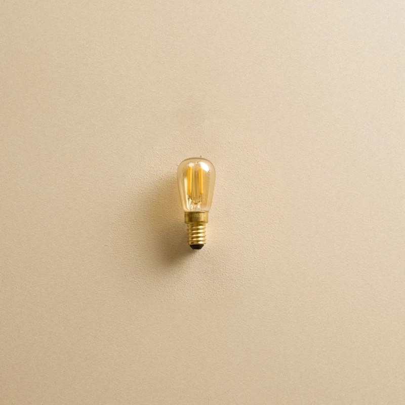 Pygmy E14 LED Bulb