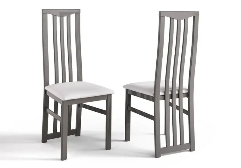 Lot 2 chaises laquées gris CX