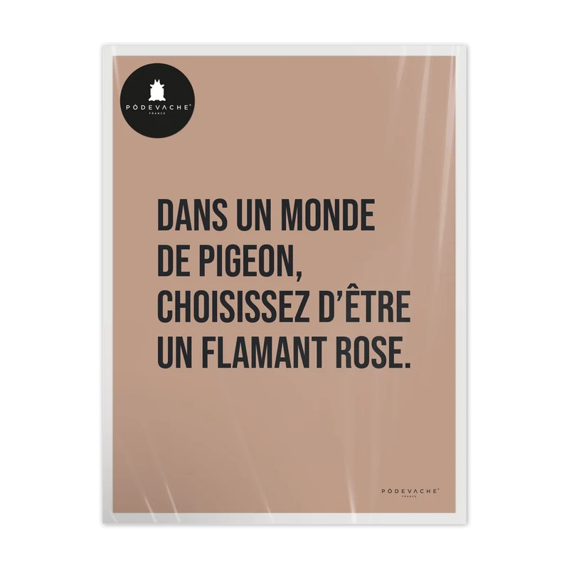 Affiche ou affiche encadrée Pigeon