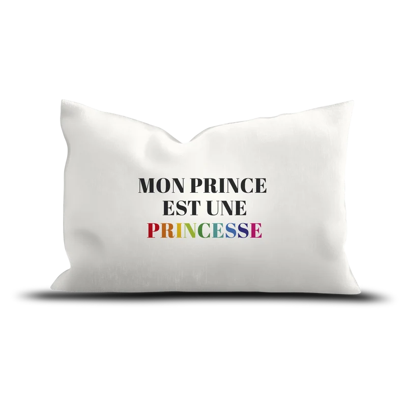 Coussin Velours Prince