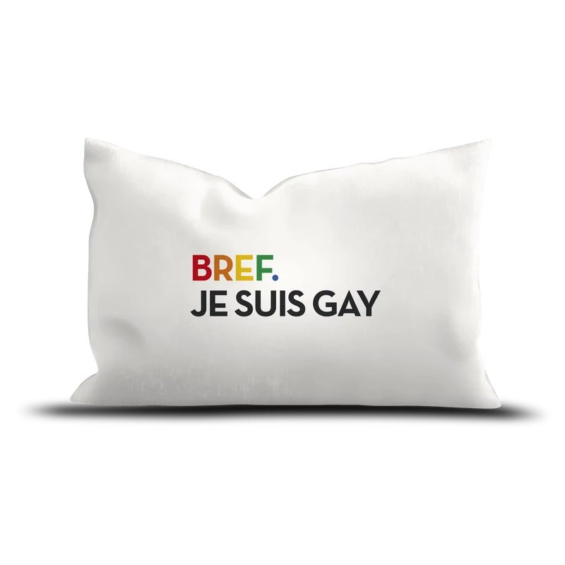 Coussin Velours Gay