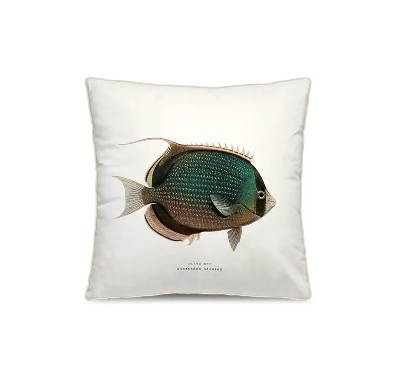 Coussin velours Heis