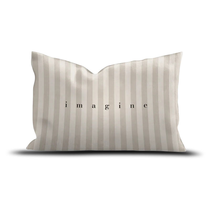 Coussin velours Imagine