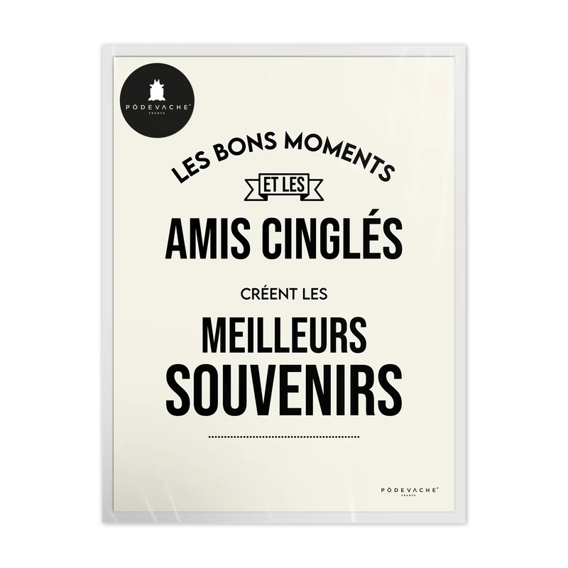 Affiche ou affiche encadrée Amis Cinglés