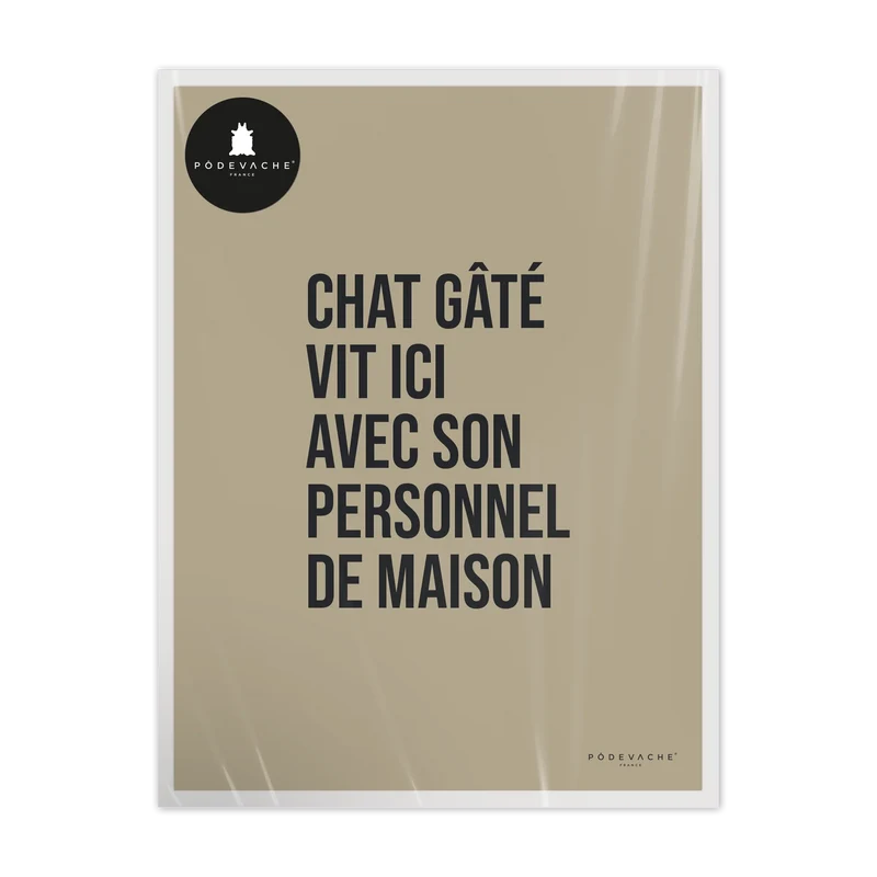 Affiche ou affiche encadrée Chat