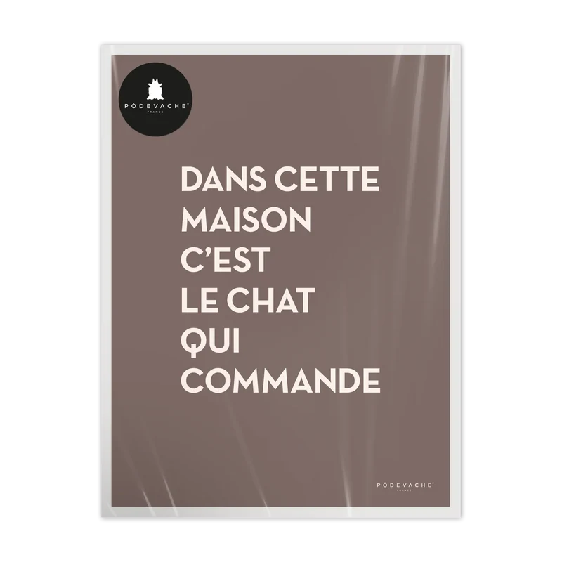 Affiche ou affiche encadrée Chat