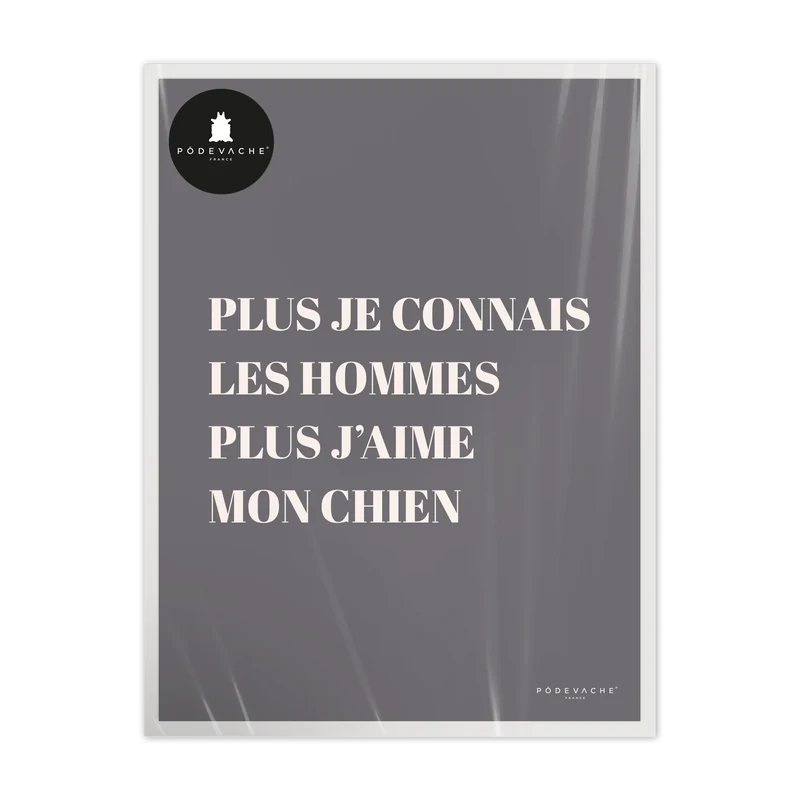 Affiche ou affiche encadrée Chien
