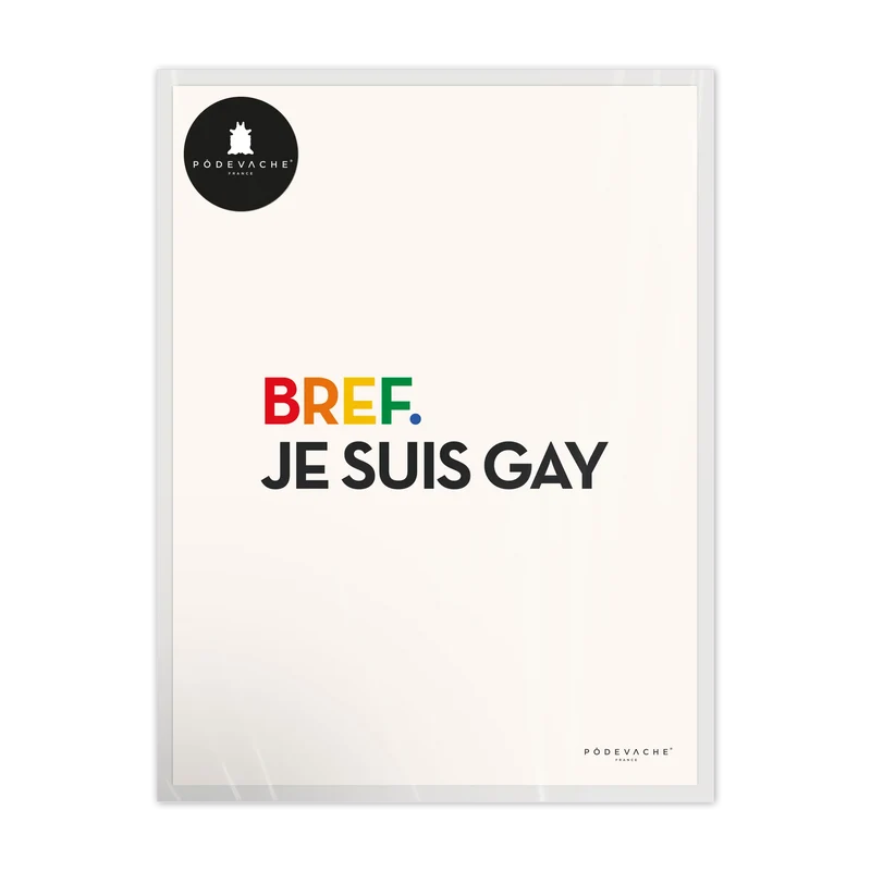 Affiche ou affiche encadrée Gay
