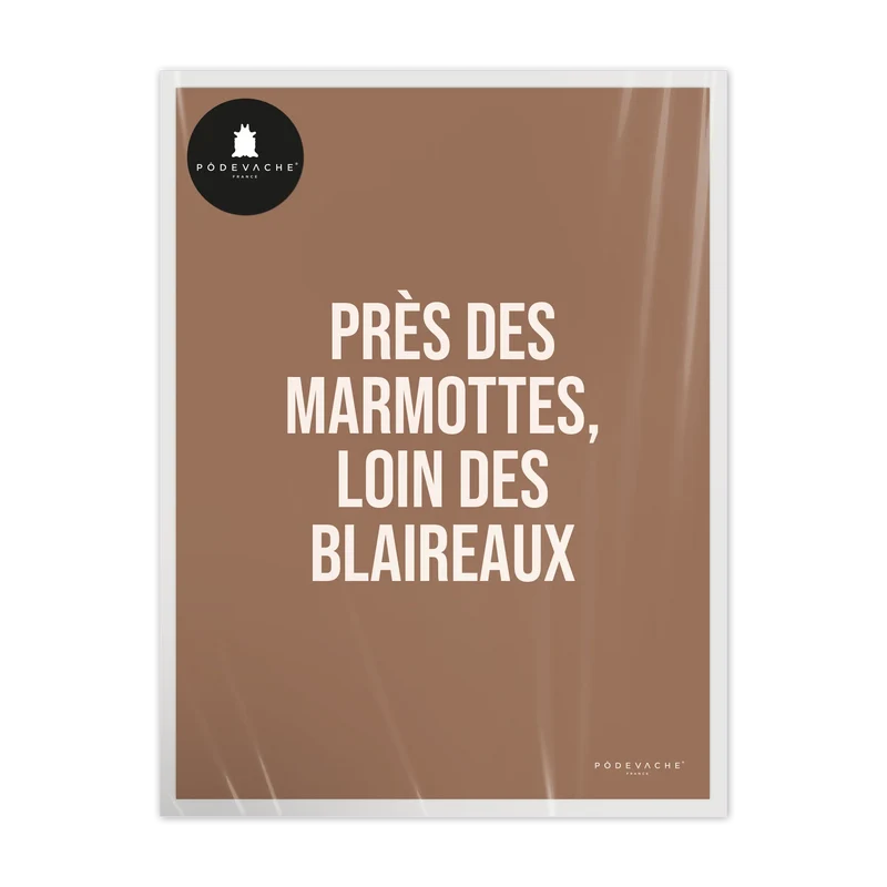 Affiche ou affiche encadrée Marmotte