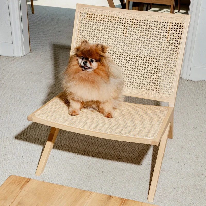 Endless Summer Lounge Chair, Natural Cane/Ash