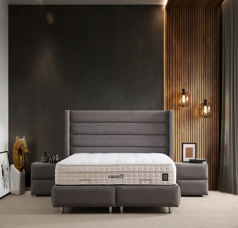 Lit Coffre EDEN GRIS FONCÉ - Velours