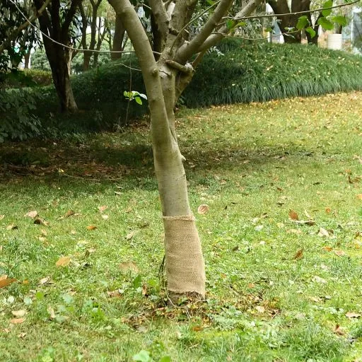 vidaXL Jute rol 200 g/m² 0,25x5 m 100% jute